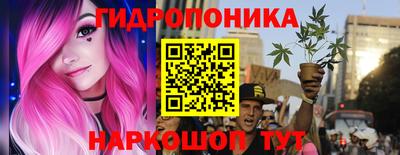 крисы Донской
