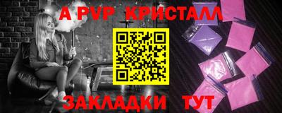 крисы Донской