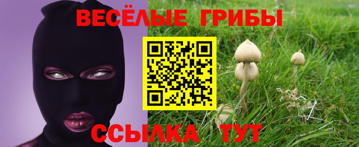 Псилоцибиновые грибы ЛСД  Вход с VPN  Миллерово 